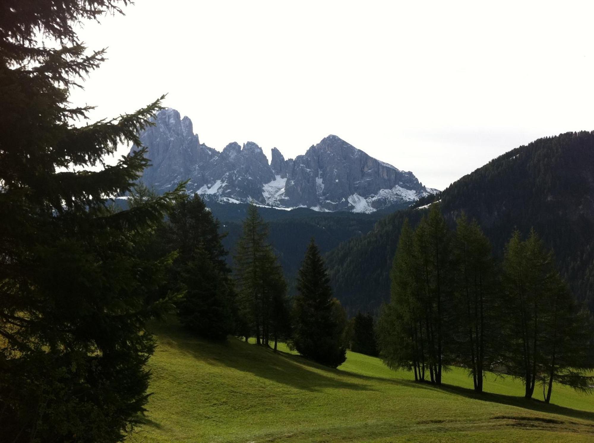 Garni La Bercia Hotel Selva di Val Gardena Exterior foto