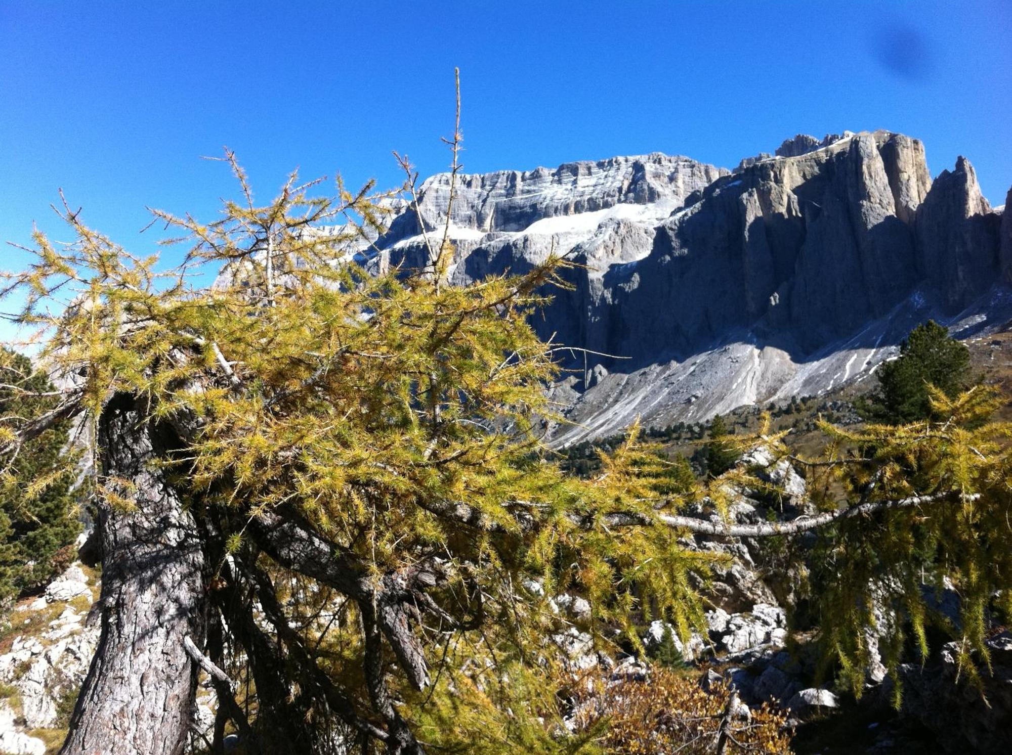 Garni La Bercia Hotel Selva di Val Gardena Exterior foto