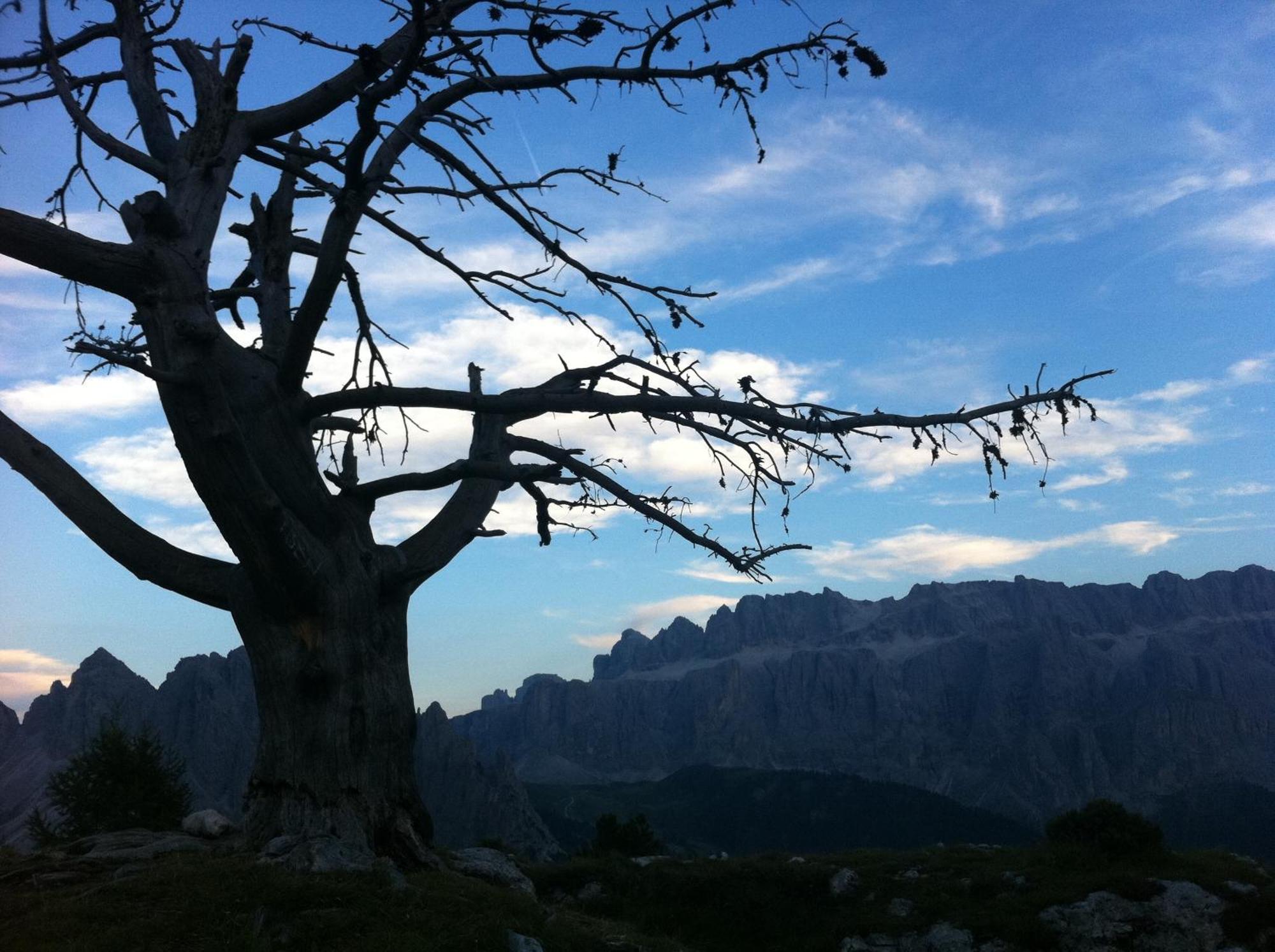 Garni La Bercia Hotel Selva di Val Gardena Exterior foto